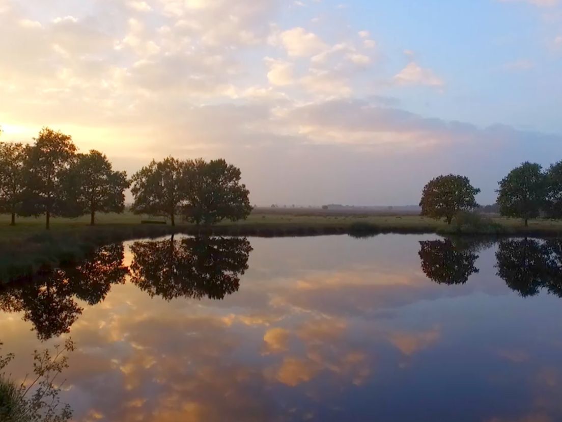 Het Dwingelderveld (Rechten: RTV Drenthe)