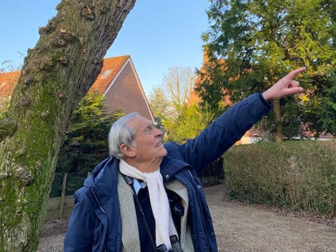 Gerard Ouweneel wijst naar de plek waar vroeger een paartje bosuilen zat te broeden.