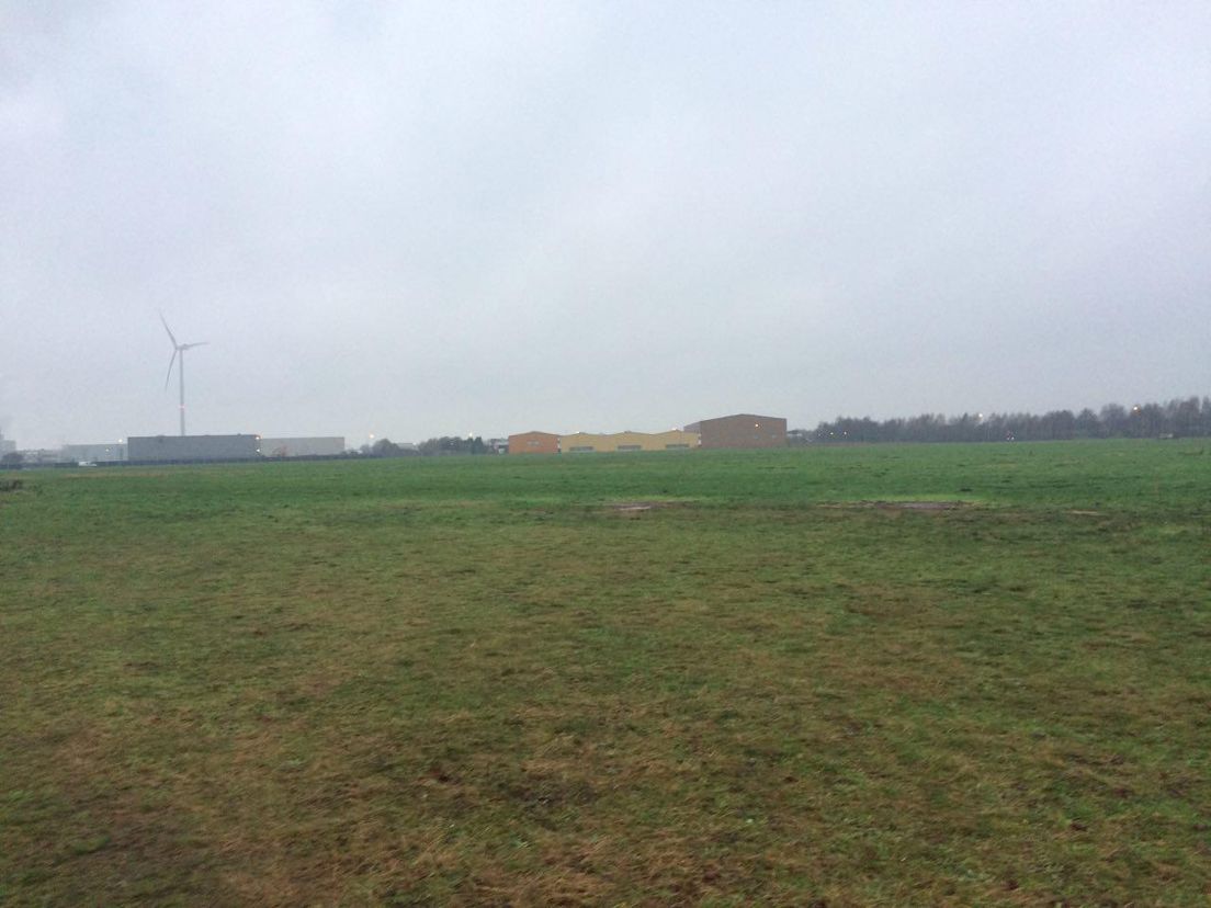 Vrijstaat Wonderland is nu alleen nog een weiland (Rechten: RTV Drenthe / Ineke Kemper)