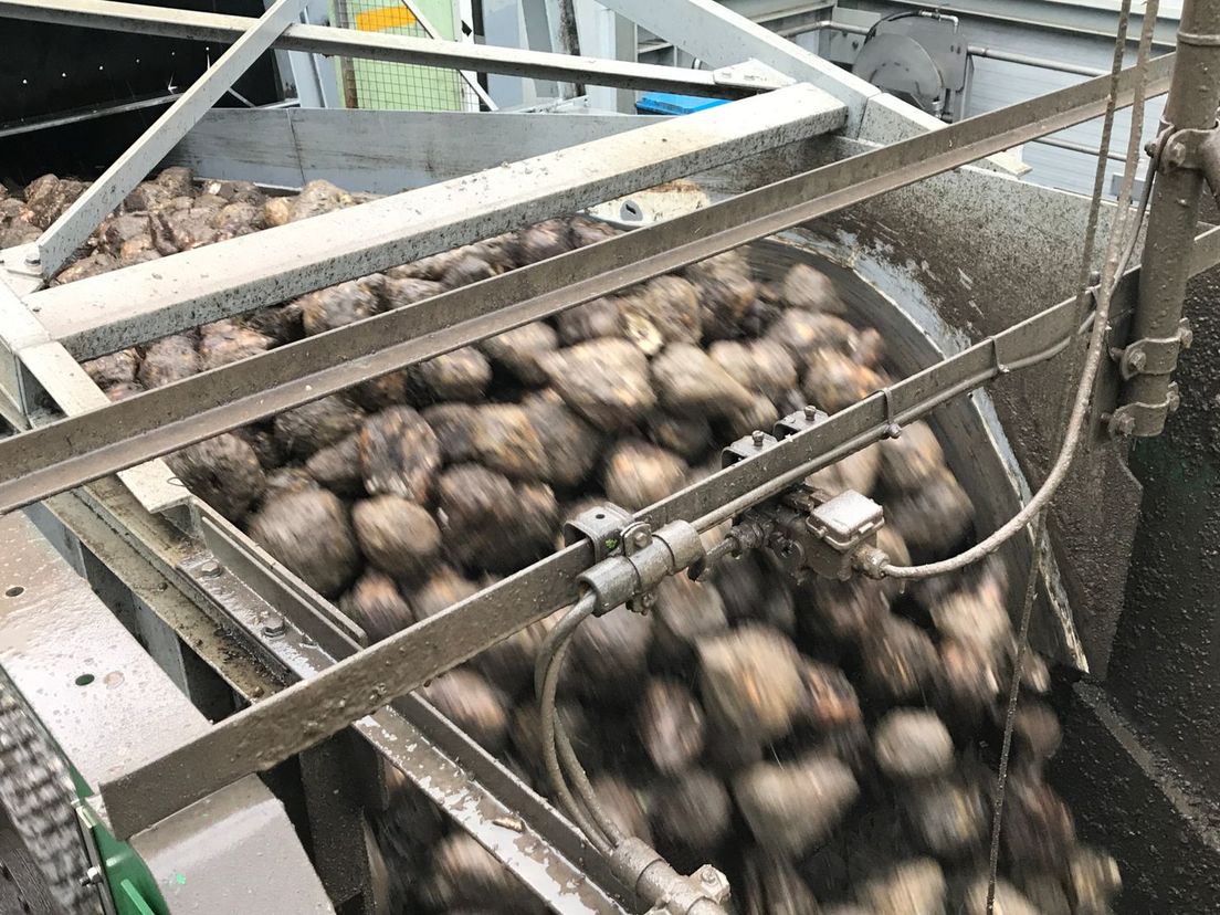 Geen aardolie, maar noordelijke suiker als bouwsteen voor plastic (Rechten: Serge Vinkenvleugel/RTV Drenthe)