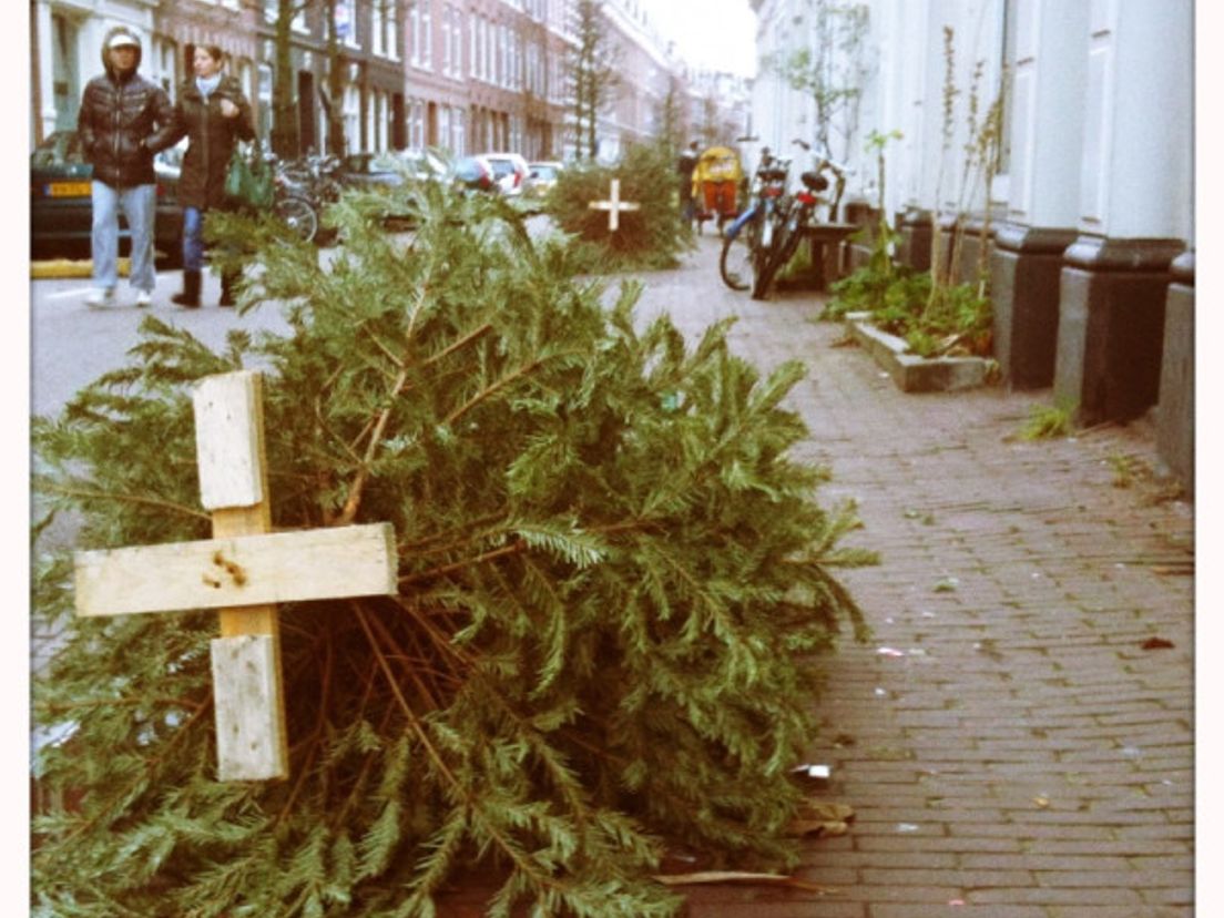 kerstboom