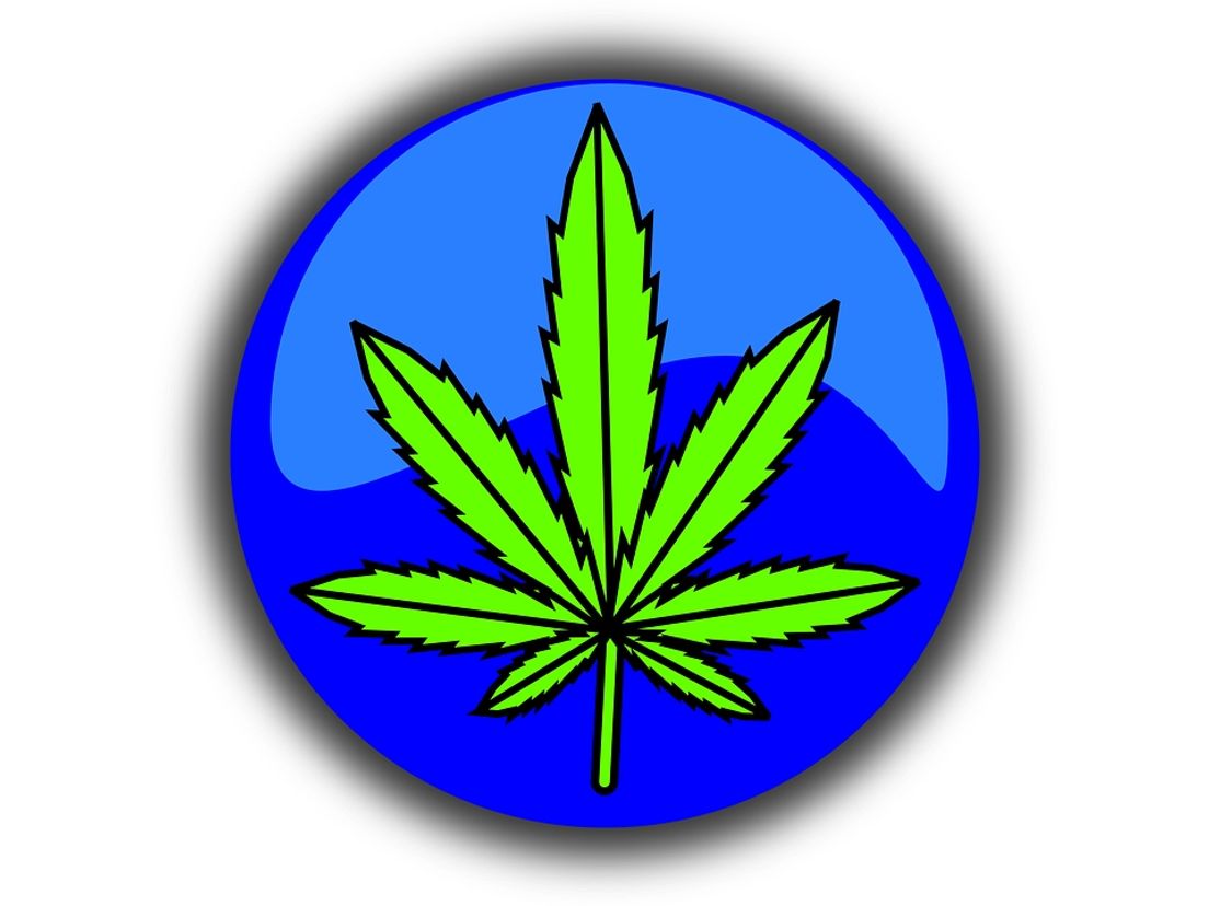 Cannabis