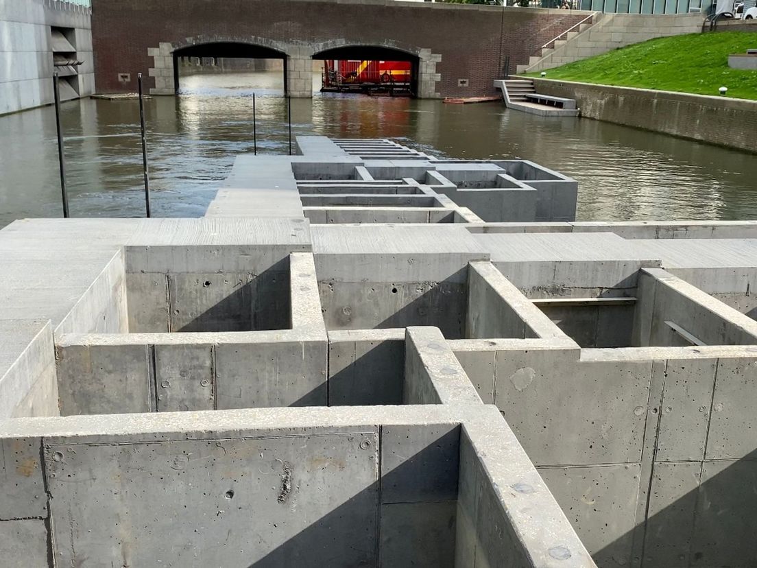 Met elke bak waar ze doorheen zwemmen overbruggen de vissen zo'n zes centimeter