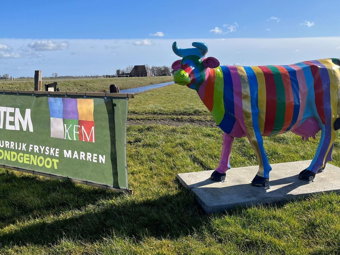 Nieuwkomer Kleurrijk Fryske Marren klaar voor coalitieonderhandelingen