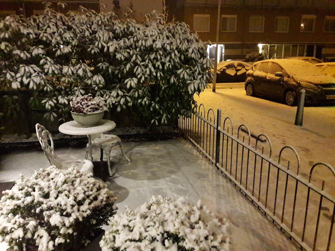 Peter Kolart: "Foto vannacht gemaakt in de voortuin in Prinsenland."
