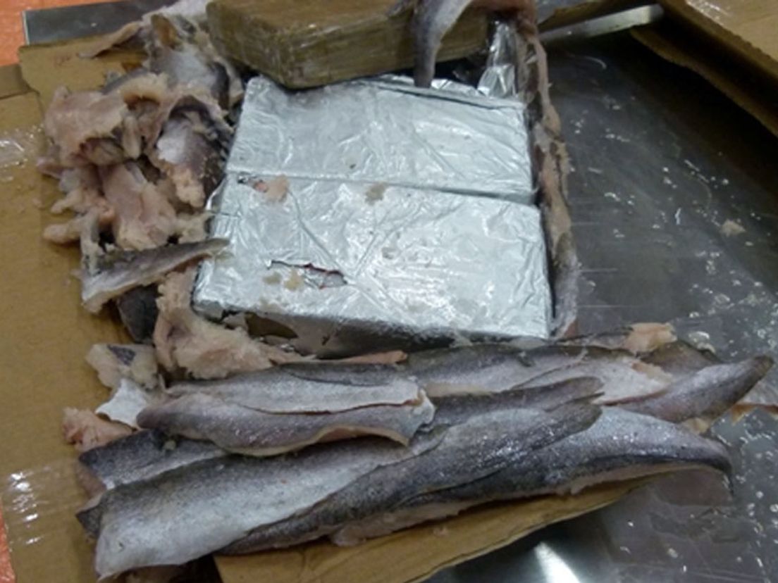 Cocaïne, verstopt in een lading vis (archieffoto)