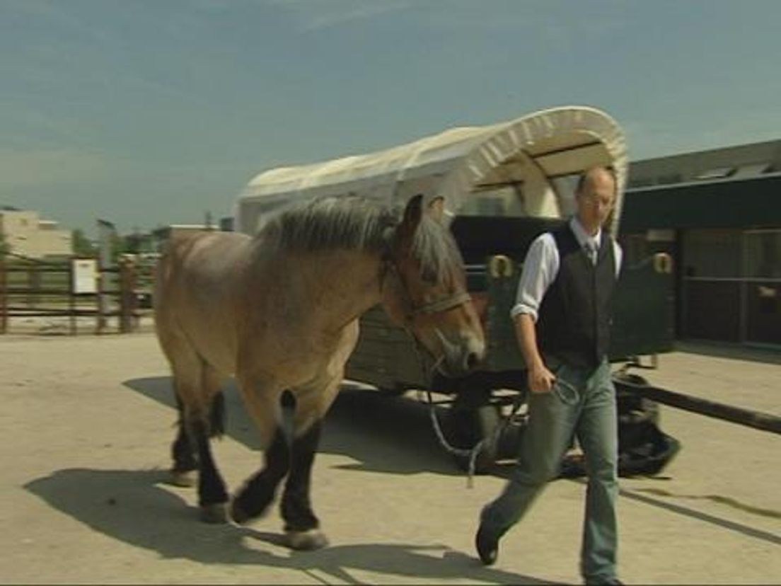 npaarden19_08.transfer.cropresize.tmp.jpg