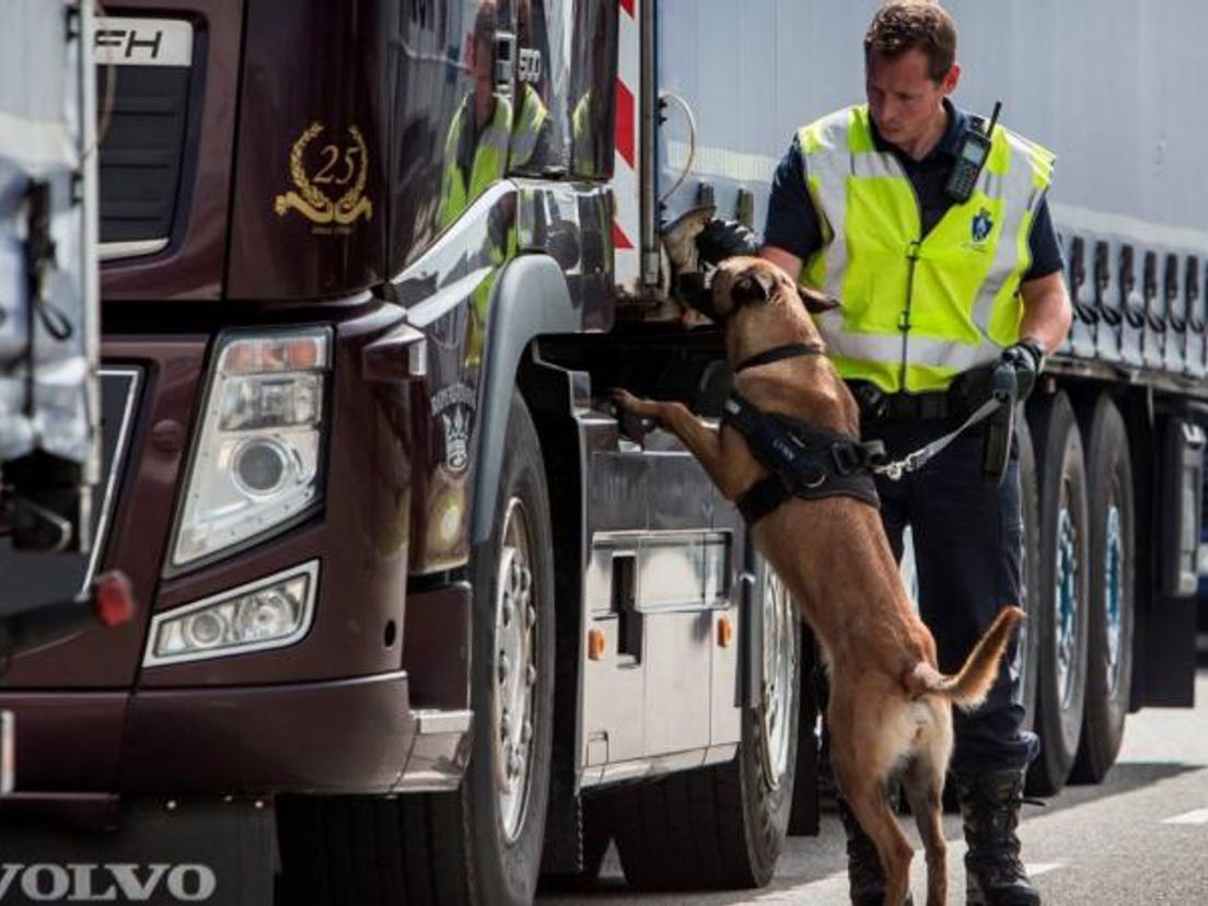 De Marechaussee zoekt met behulp van honden naar migranten in de Rotterdamse haven