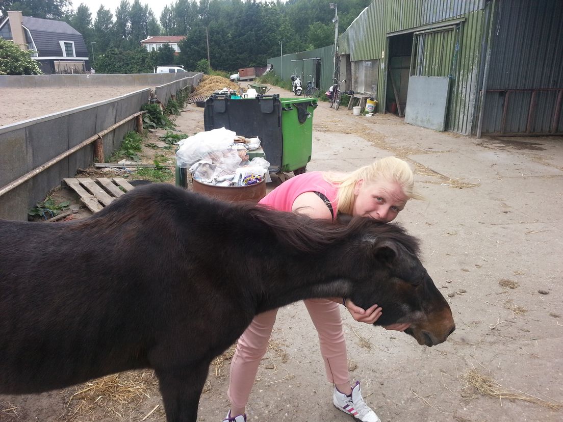 Rotterdamse pony wordt 40