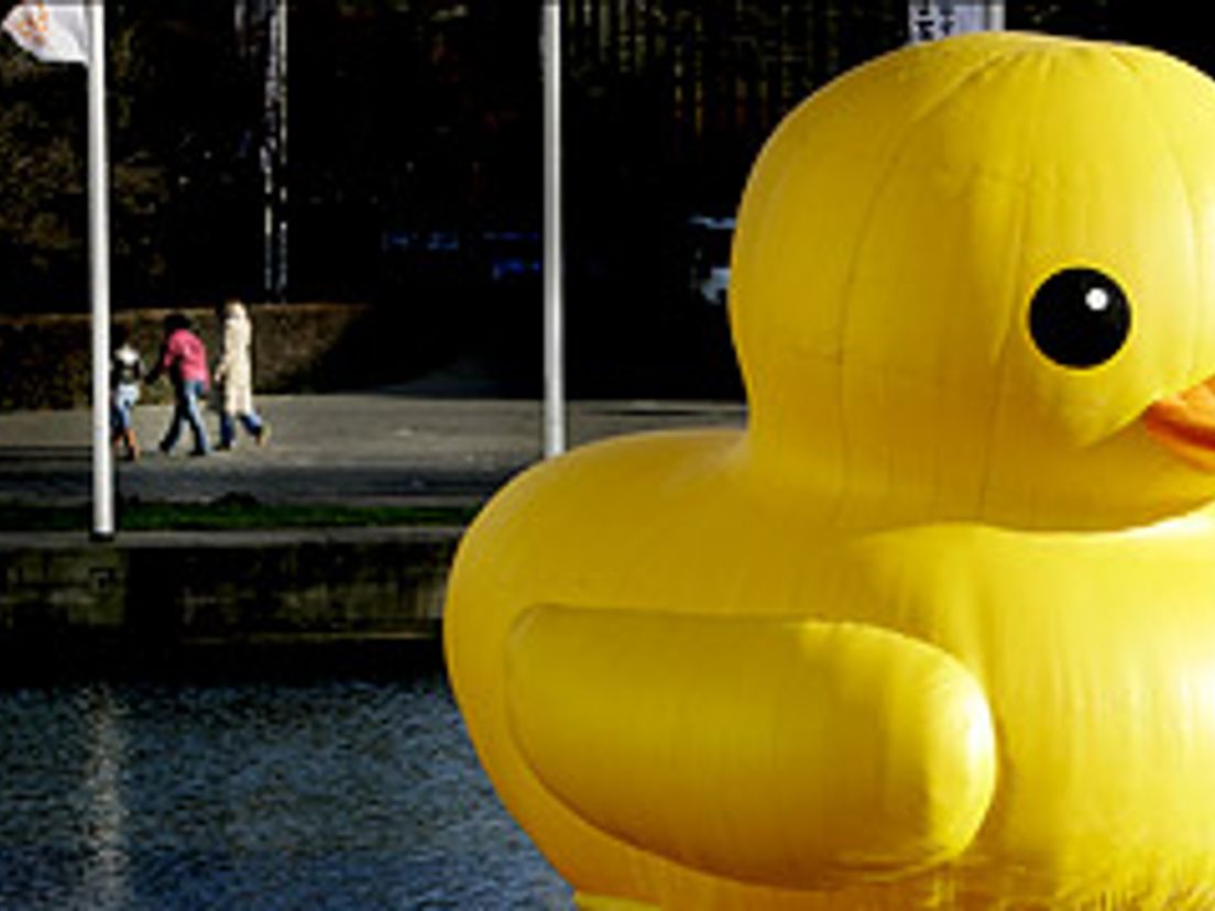 16-01-Badeend-NAI.jpg