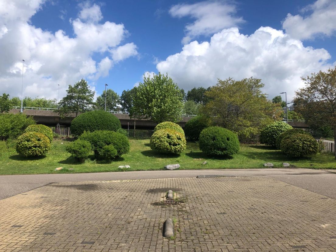 Lachende struiken bij Diergaarde Blijdorp (Bron: Instagram - Base080, Olivier Scheffer)