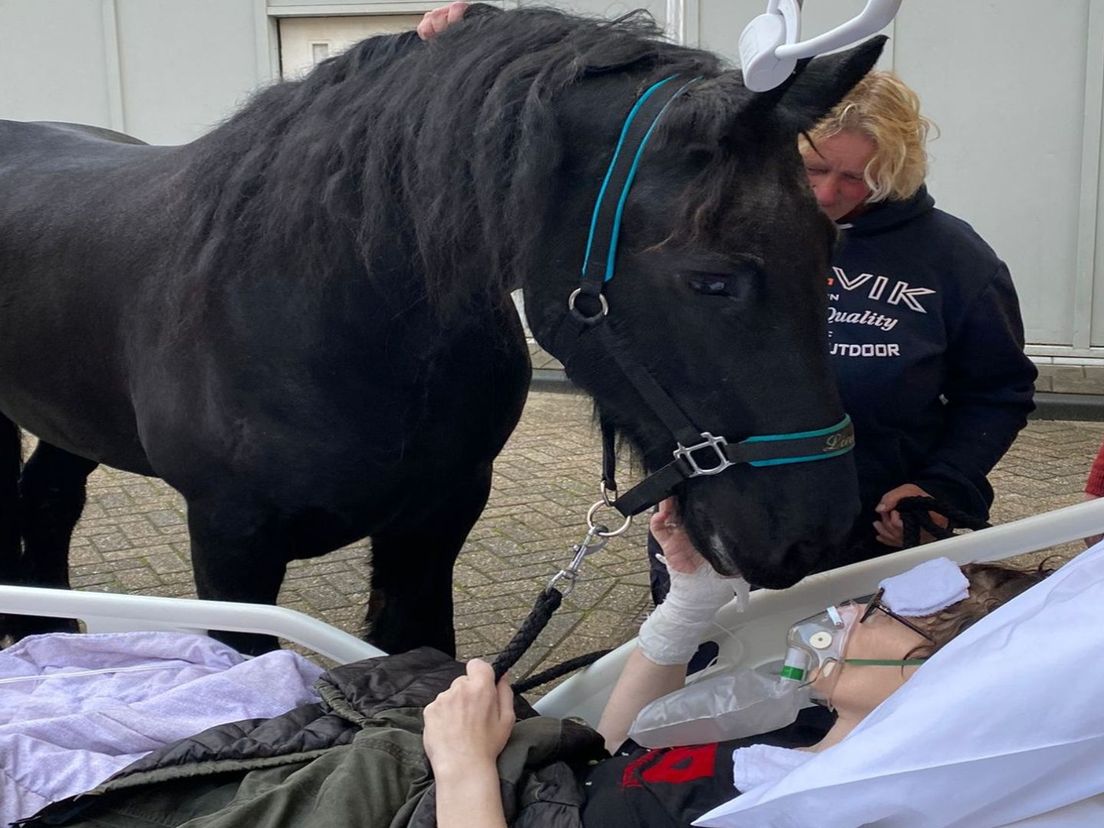 Haar laatste wens was om het paard nog even te zien