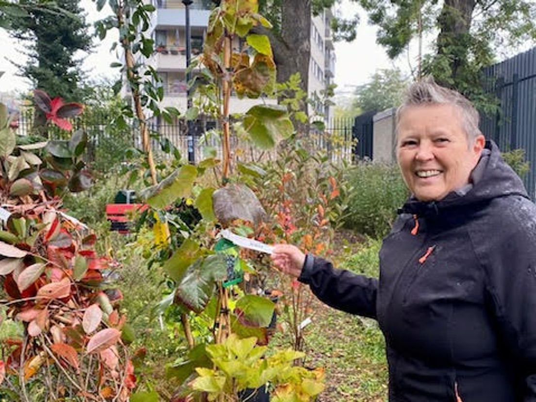 Melitta van Bracht bij de boompjes voor dieren en mensen bestemd voor de kleinste inheemse dierentuin van Rotterdam