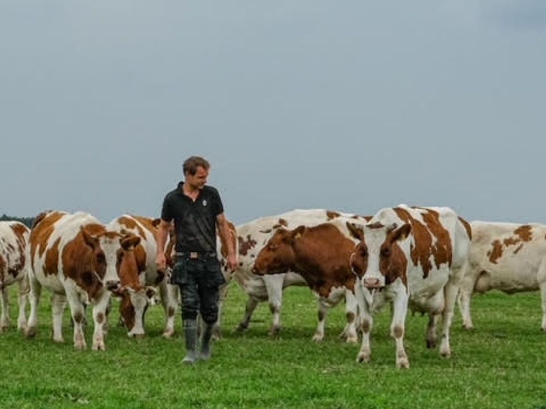Boer Albert Boersen van Herenboeren de Vlinderstrik in de Schiebroekse polder