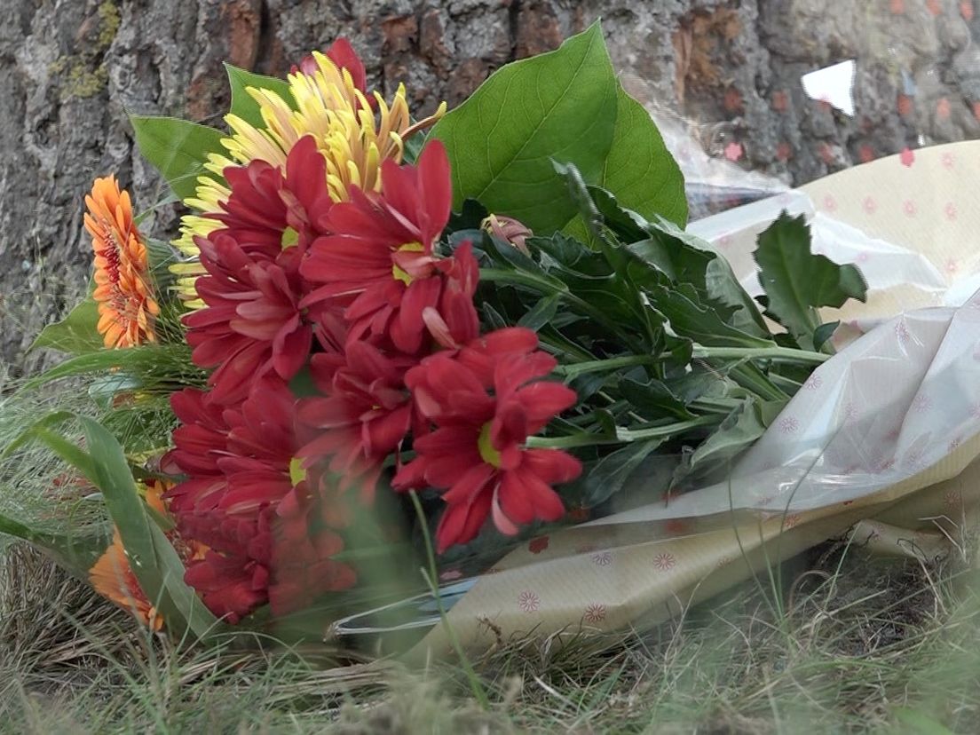 Bloemen bij de boom op de plek van het ongeluk (Rechten: Steven Stegen / RTV Drenthe)
