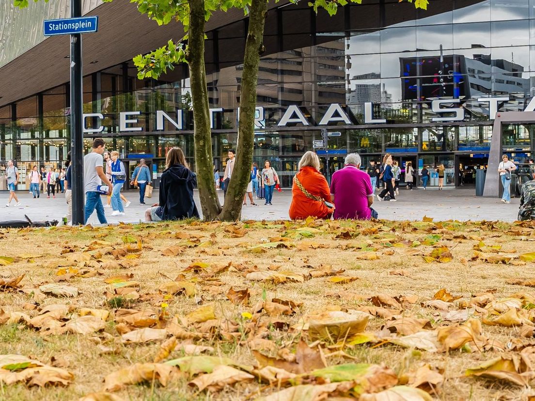 Afgevallen bladeren op het plein voor Rotterdam Centraal
