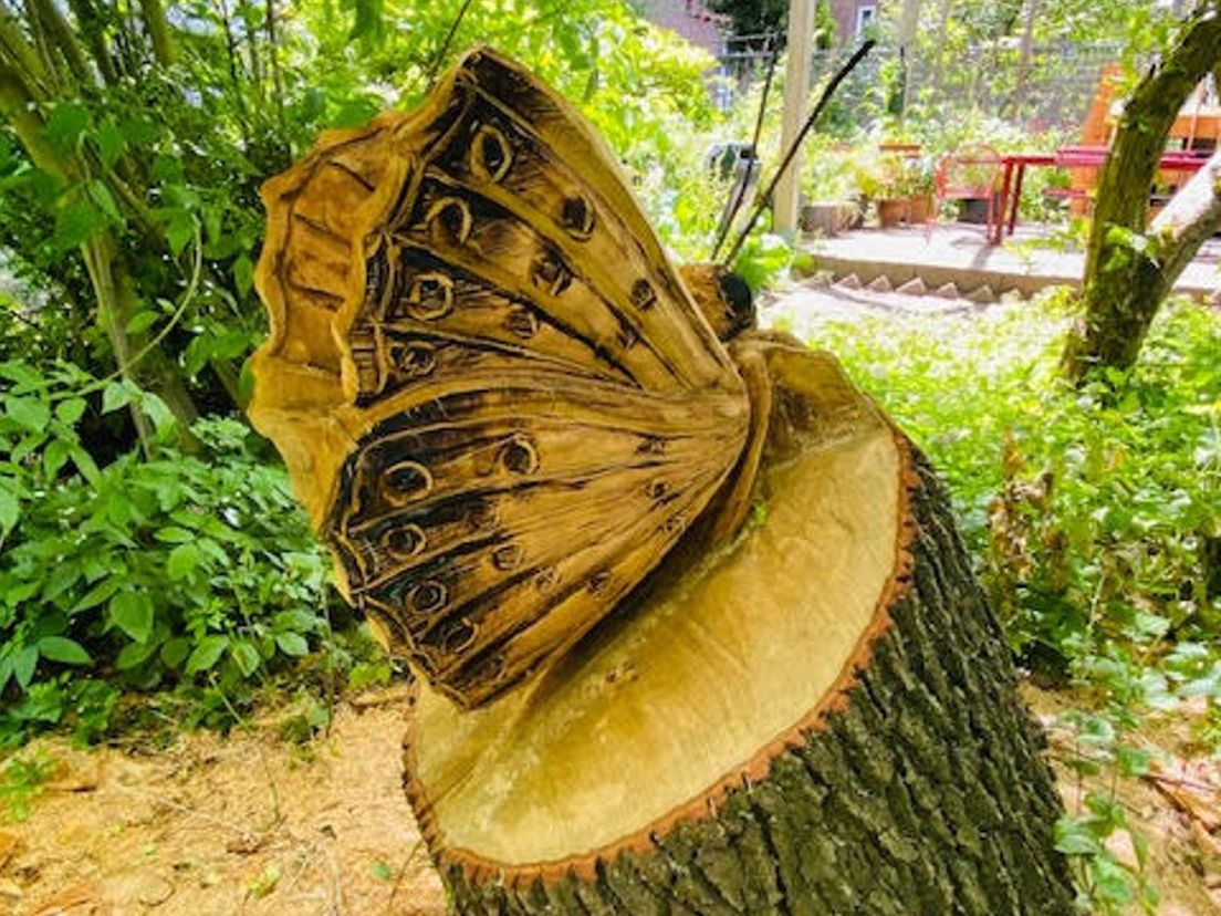 Metamorfose: de amberboom is een vlinder geworden