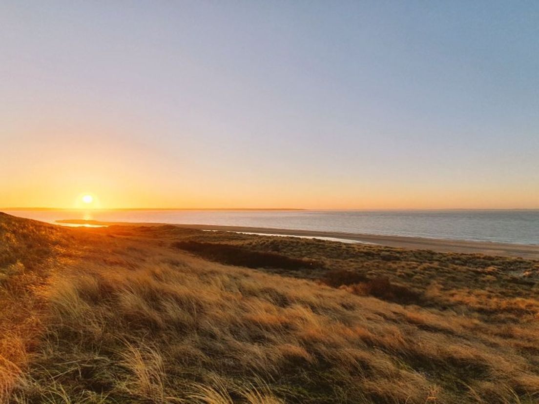 Tweede Maasvlakte