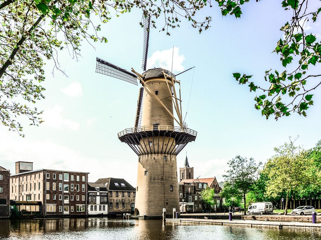 Molen De Kameel in Schiedam