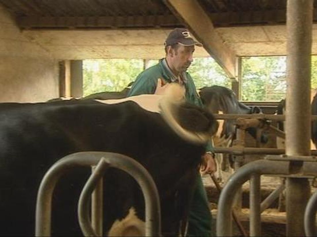 nboerenkaas07_10.transfer.cropresize.tmp.jpg