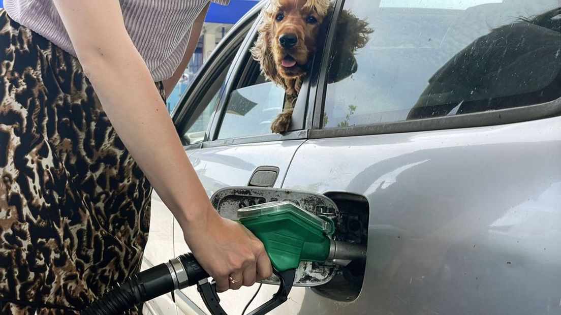 De benzineprijs lag dit jaar nog niet zo laag als nu.
