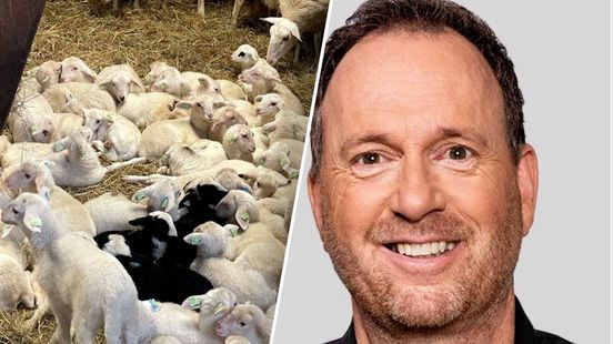 Geen bekende Nederlanders meer: schaapskudde breekt met traditie