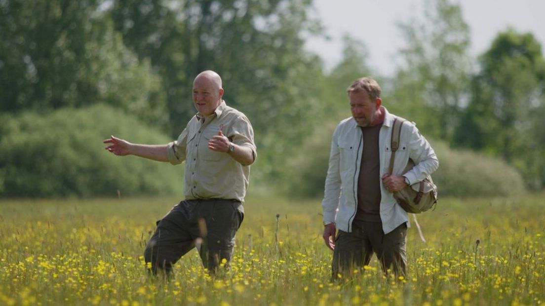 Hier vind je bloemrijke graslanden en sloten vol leven