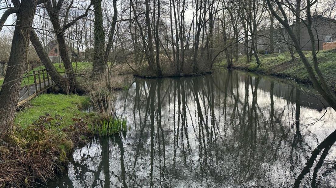 Deel van het Moerasgebied Hooglandsedijk