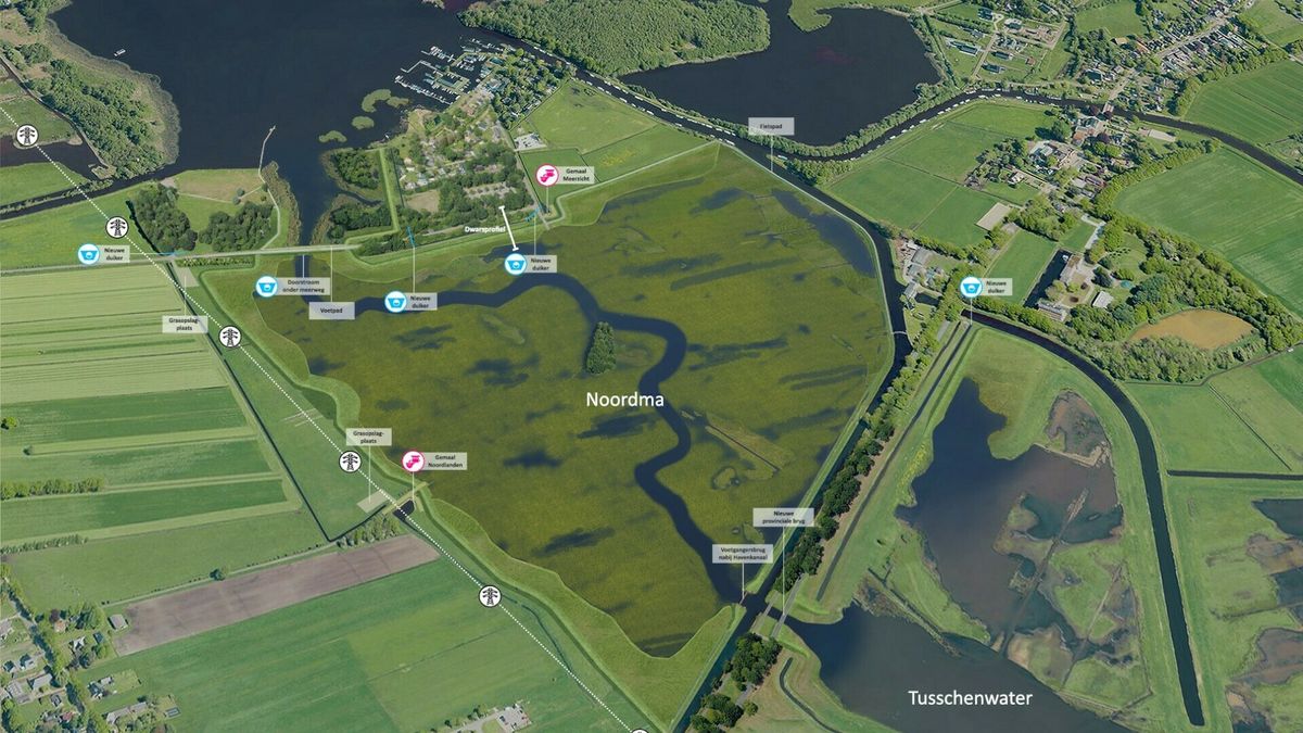 Nieuw natuurgebied Noordma moet wateroverlast en droogte helpen tegengaan