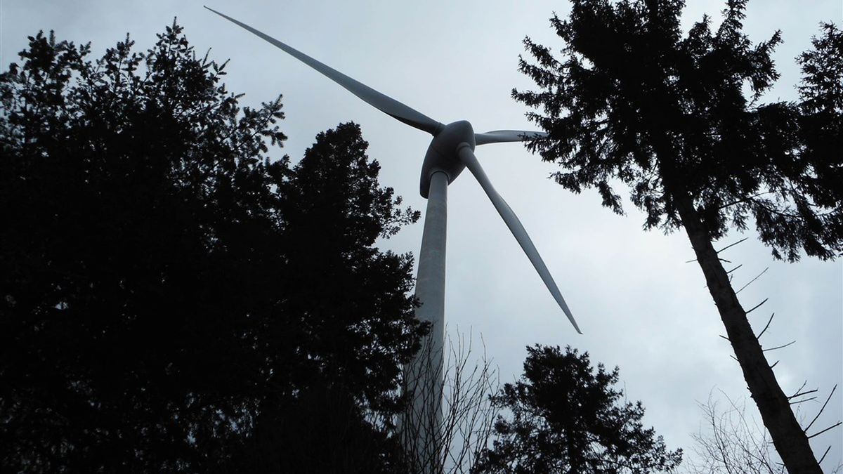 Marle ziet windmolenspook op zich afkomen: 