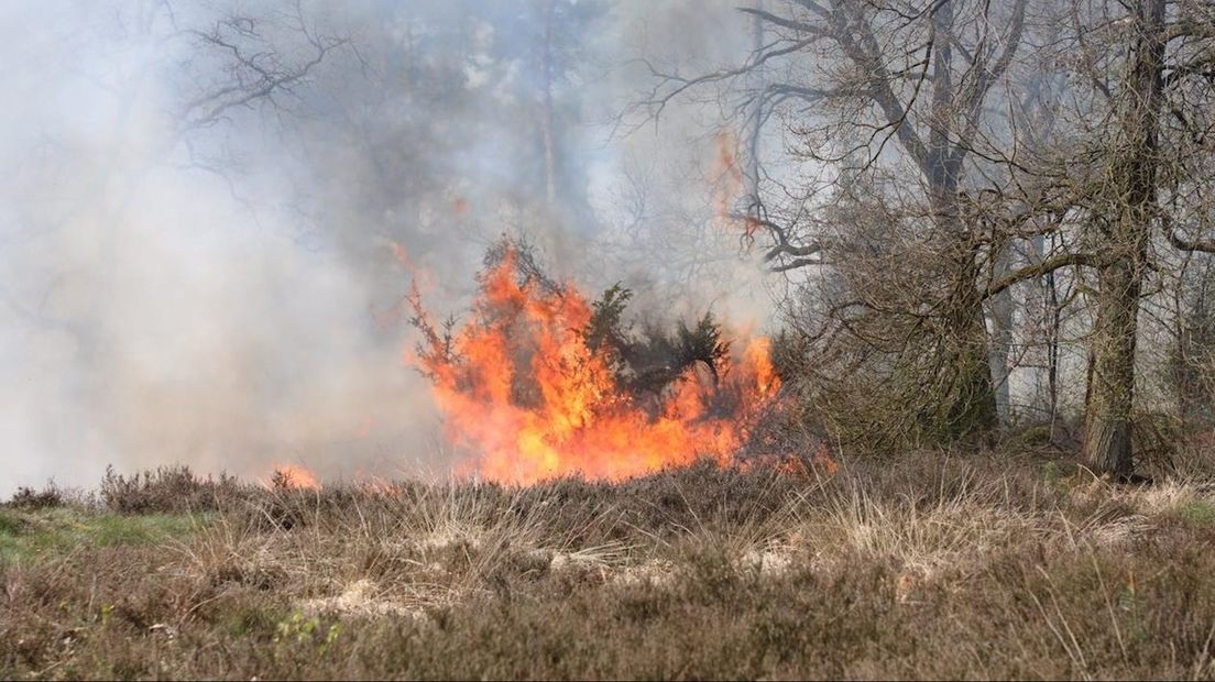 Natuurbrand heidebrand bij Beuningen Denekamp