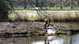 Grote zorgen na vondst van tientallen dode vogels in Barneveld