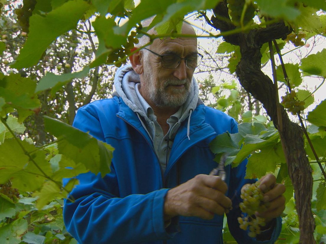 Wijnboer Fred Lorsheijd