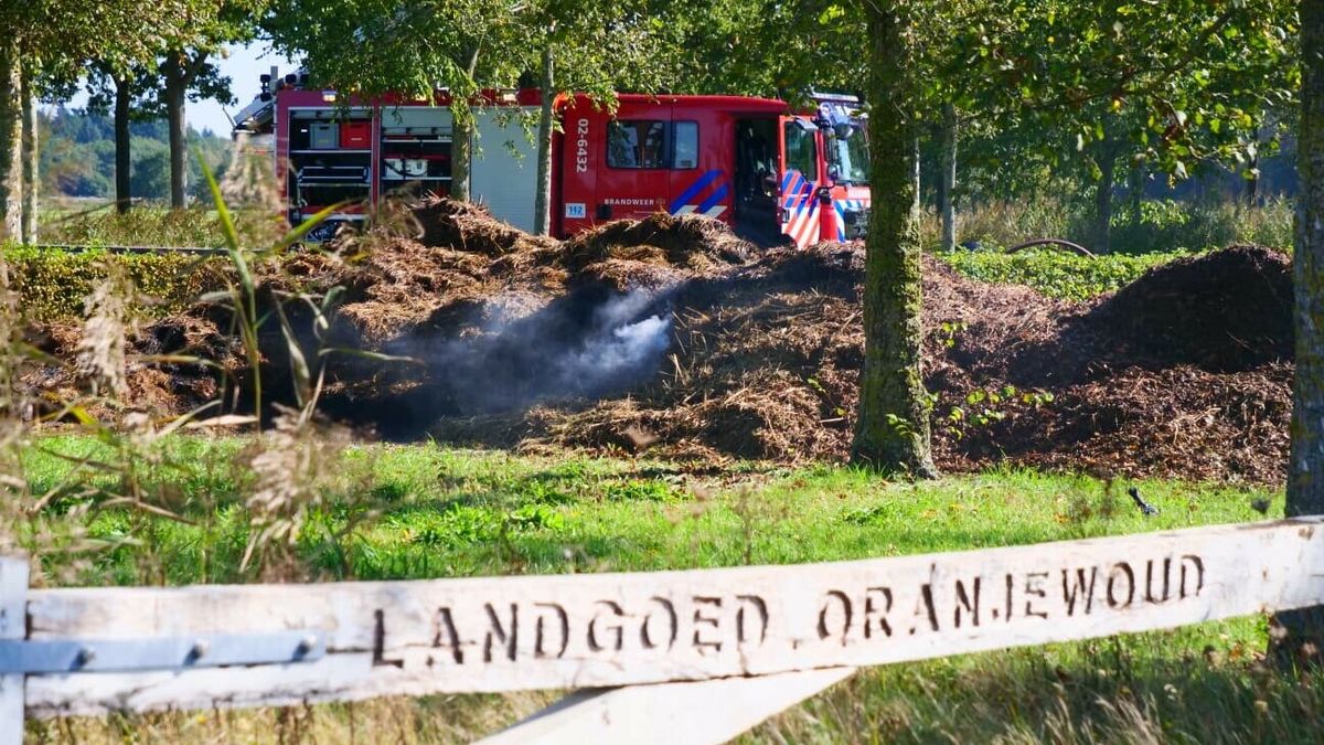 Wasserij in Bolsward ontruimd na brand in droger | Groenafval in brand in Oranjewoud