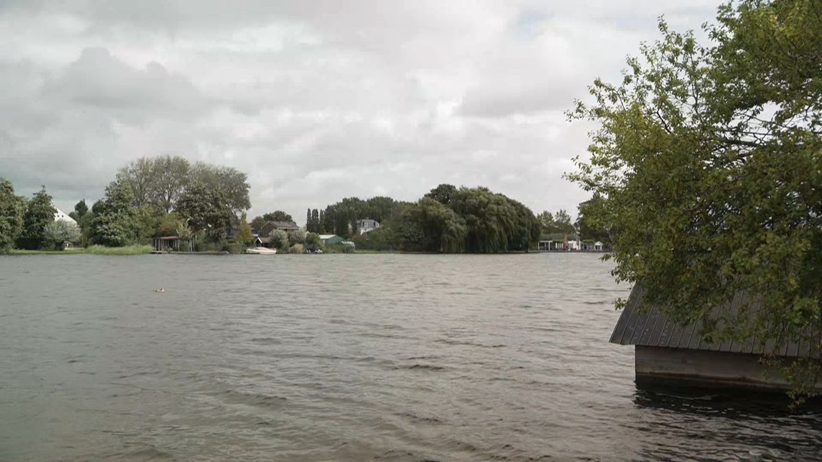 In de Waal bij Ridderkerk werden meerdere chemische stoffen aangetroffen boven de gestelde norm.