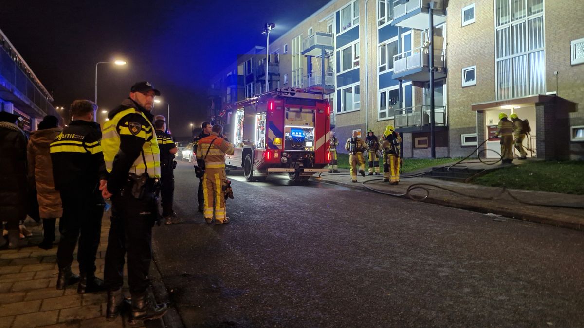 Hond en katten gered bij grote brand in appartement Eygelshoven