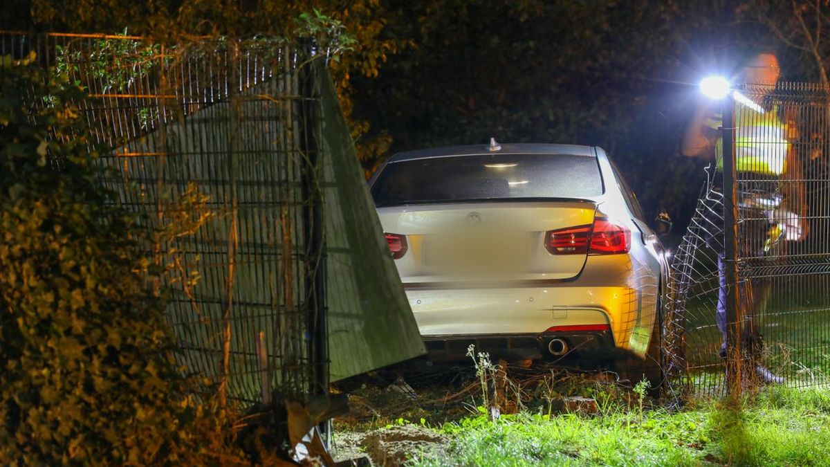 Auto rijdt door hek en belandt in dierenverblijf in Deventer