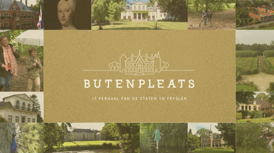 Bûtenpleats