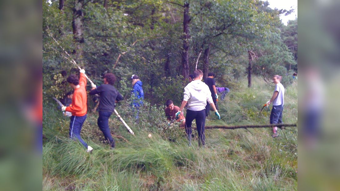 Frijwilligers dogge wurk yn de bosk