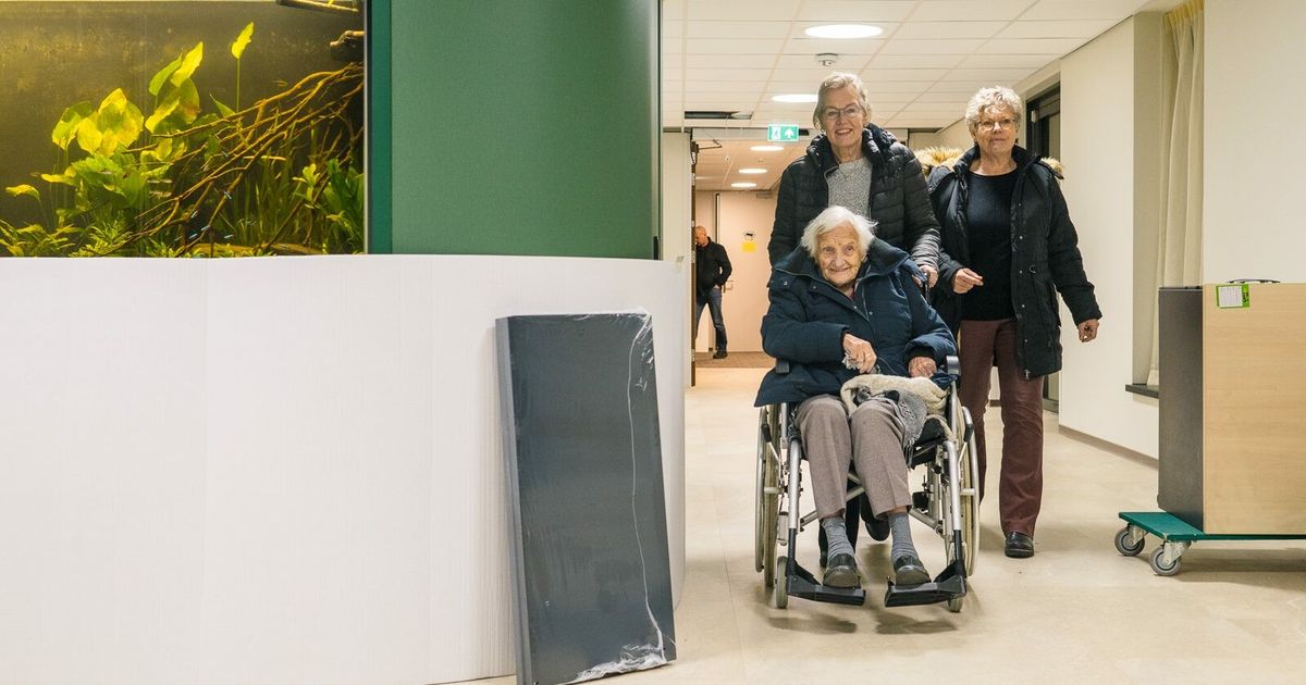 Planbureau Fryslân: Thuis wonen op Waddeneilanden wordt lastiger