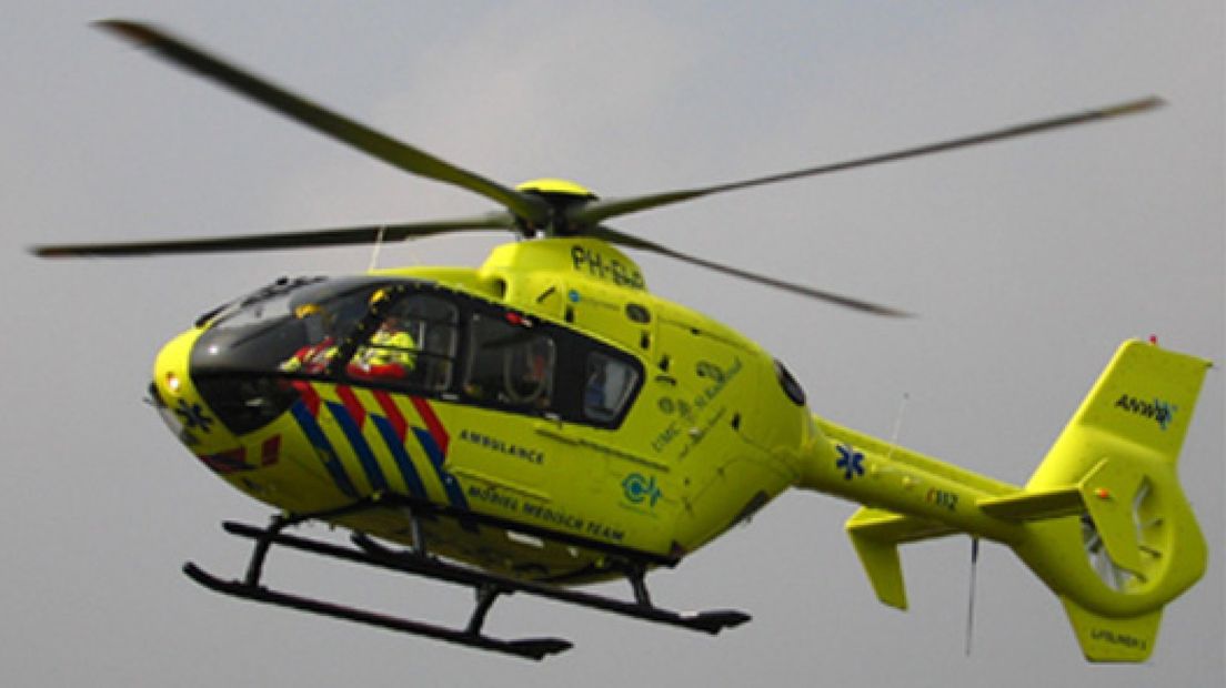 Duiker uit Wezep verdronken