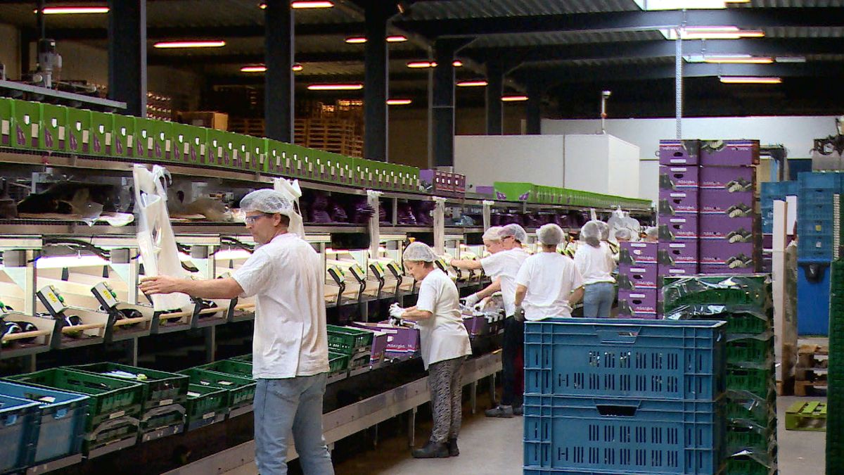 Arbeidsmigranten, waar wonen en werken ze in Zeeland? Dat is niet overal bekend