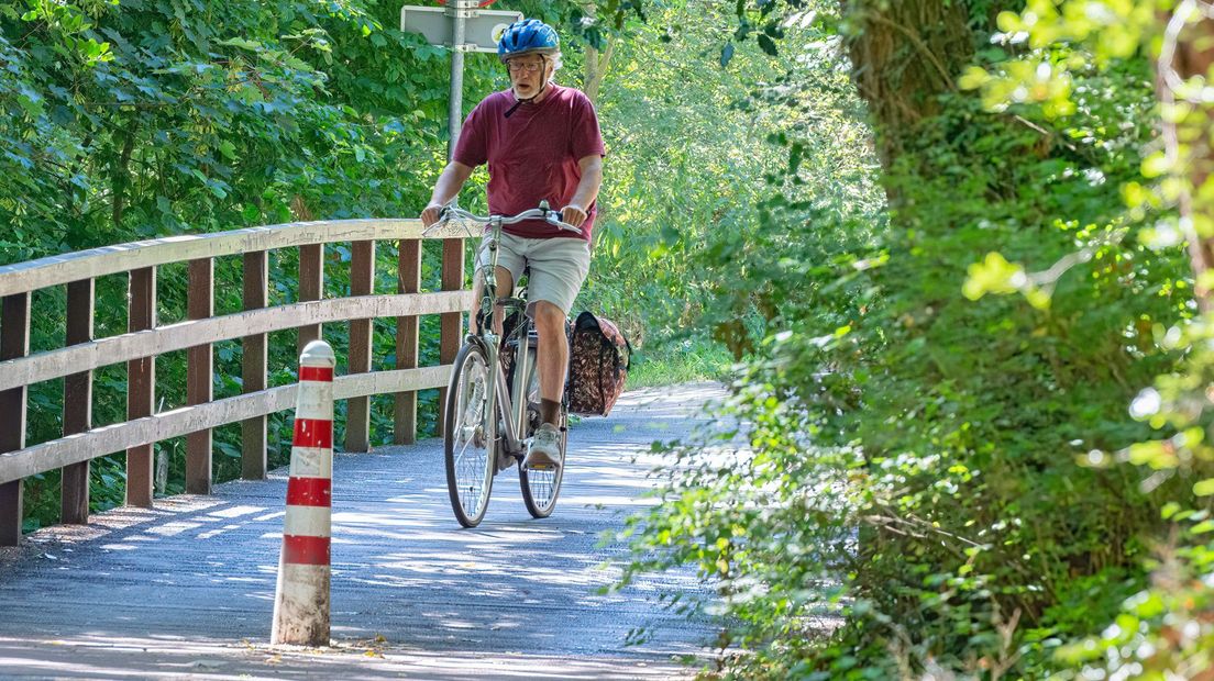 De Fietsersbond vindt paaltjes op het fietspad gevaarlijk