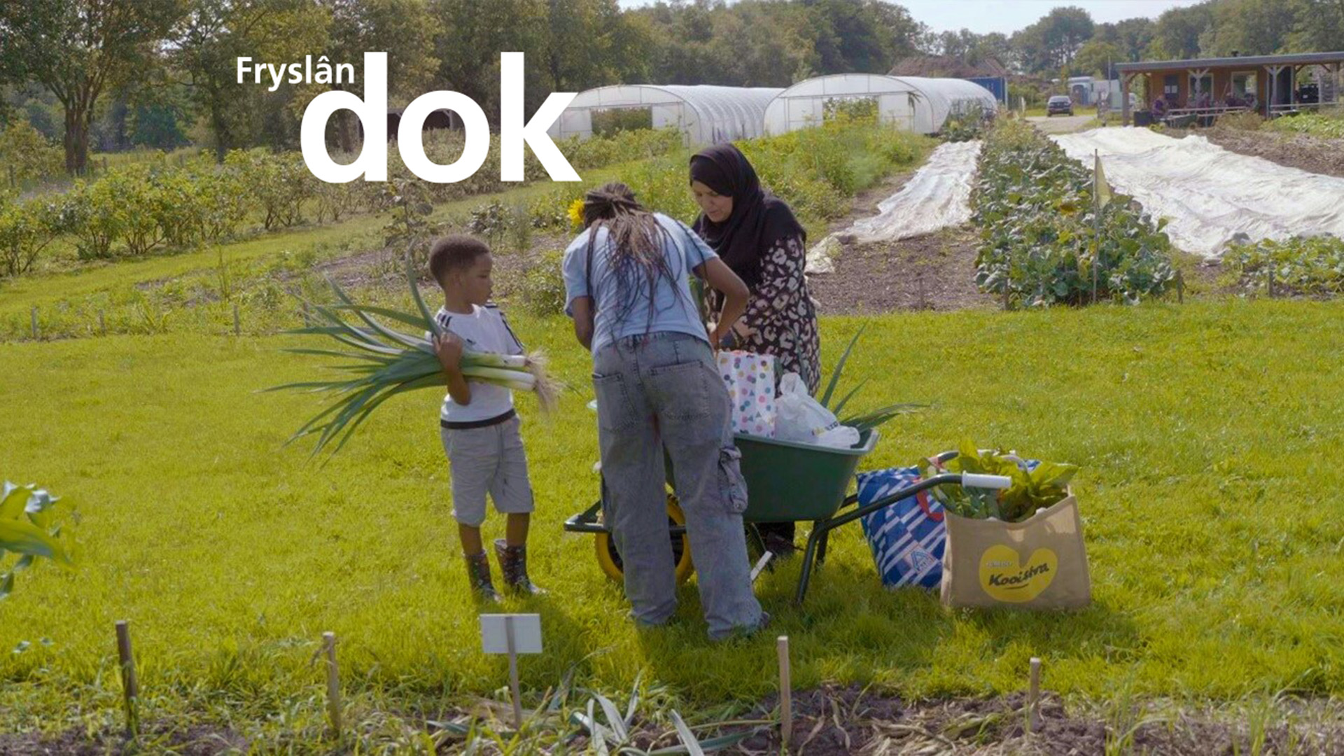 Konsept sosjale itenstún plukt fruchten fan sukses Nijhoarne
