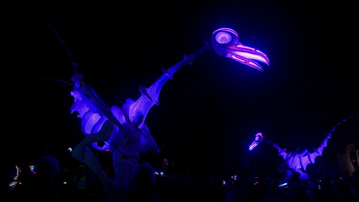 In Middelburg en Vlissingen werd Nacht van de Nacht uitbundig gevierd: 'Dit is Zeeland'