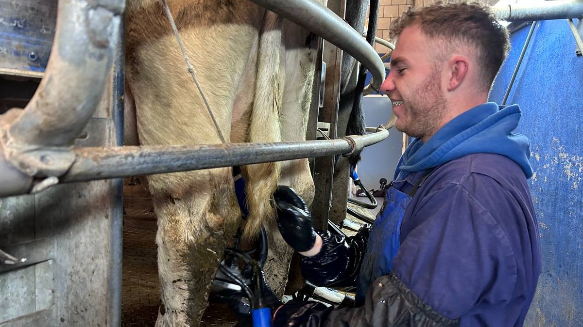 Bekroonde bio-boeren in De Lutte: 'Zonder afzetmarkt kan het niet'