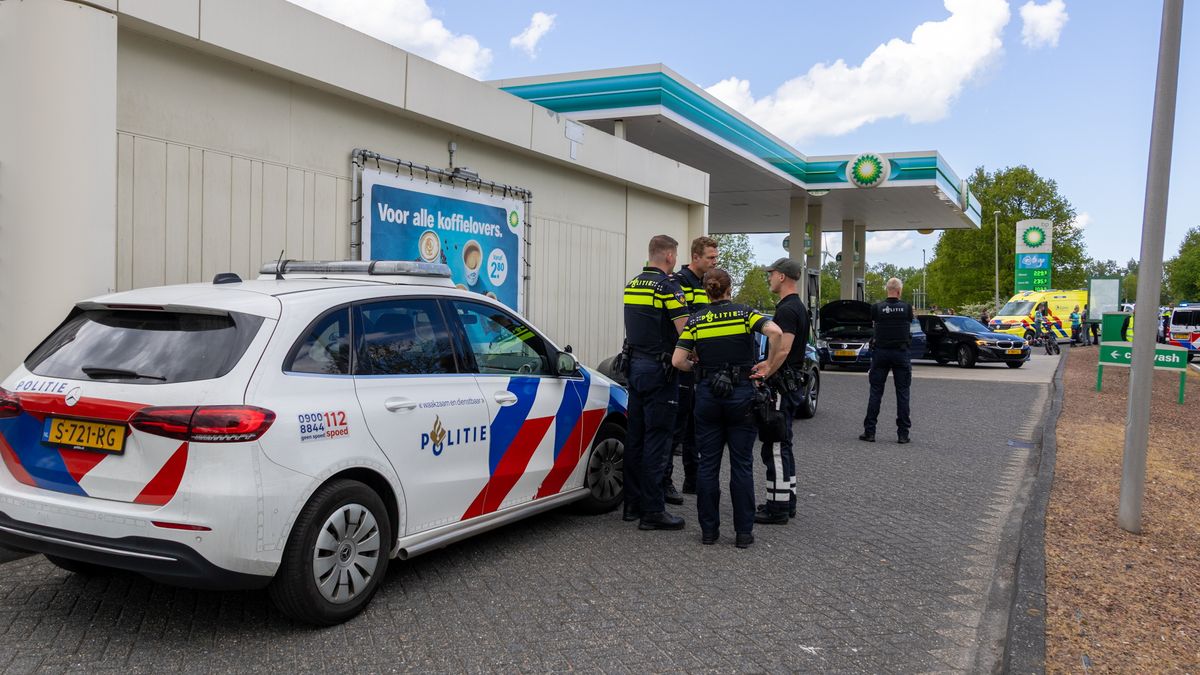 Dode dolfijn aangespoeld op Vlieland | Gewonde bij grote brand in twee-onder-een-kap in Gytsjerk