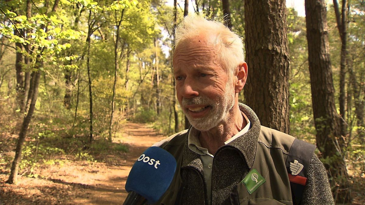 Oproep aan voor- en tegenstanders van wolf: 