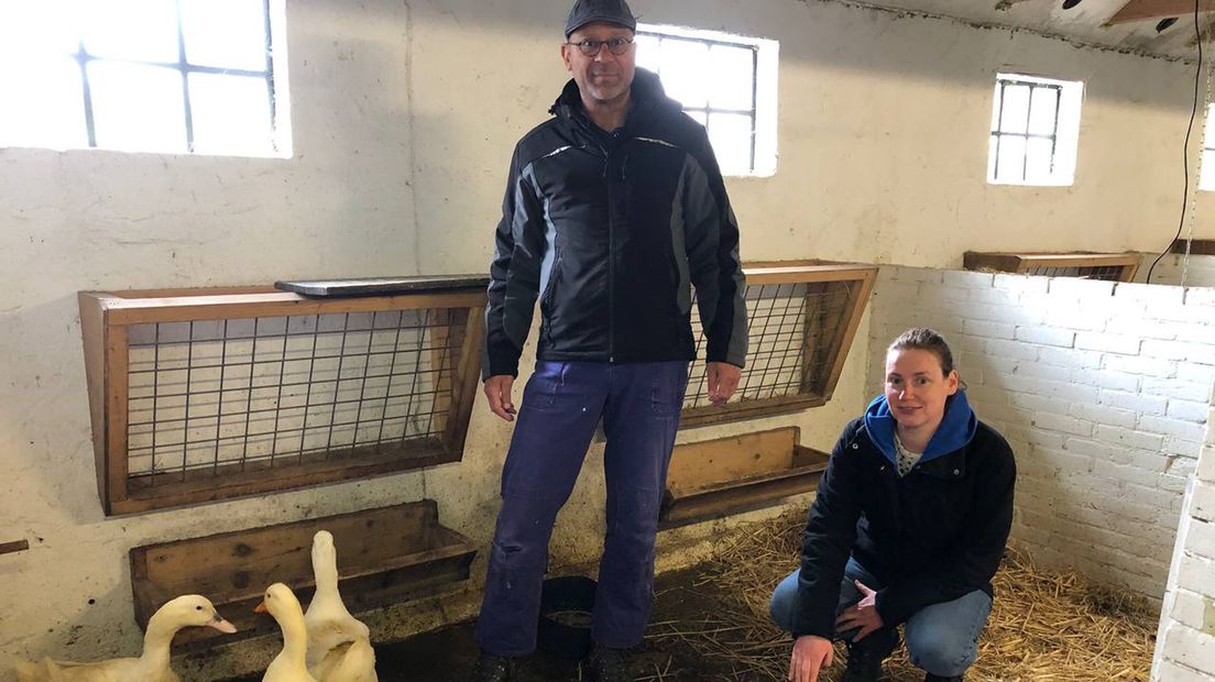 Frits Terpstra en Annelies Hansma bij de pekingeenden