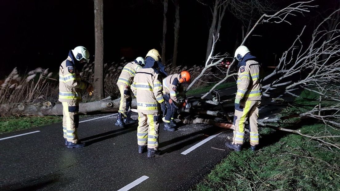 Boom over de weg tussen Hasselt en Zwartsluis